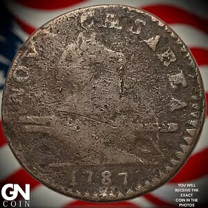 1787 j[W[W[ RjA RC Y6148