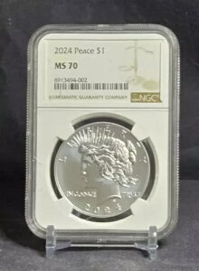 2024 P �s�[�X �h�� - $1 - NGC MS70 - �V���o�[ �R�C�� - �u���E�� ���x�� /w OGP