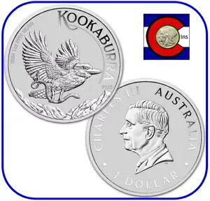 2024 I[XgACJZ~ 1 IXVo[RC - BU p[X~g[璼