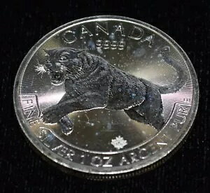 2016 Ji_ 1 IX Vo[ vf^[ V[Y N[K[