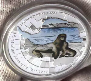 2005 I[XgAɏBqEAUV 1 IX 999 Vo[ p[X ~g