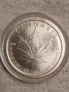 2017 1 IX .999 喃Vo[ V[h }t@i |bg@R