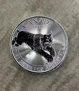 2017 Vo[ vf^[ V[Y NX 1 IX .9999 ㎿Ji_