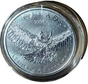 2015 Ji_ 쐶 AJV~~YN 1IX 9999 Vo[ uAg 