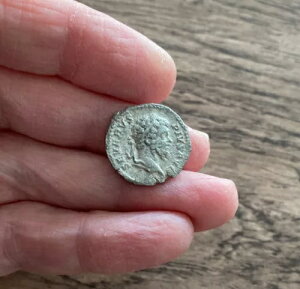 [}lBZveB~EXEZEFX ( 193 ` 211 N)BfiEXB