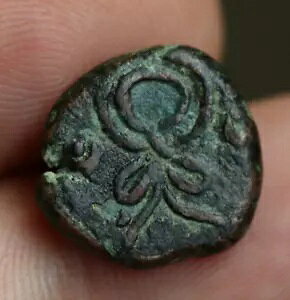 MṼRC KINGS of ELYMAISBteXB2I璆B ? hN} A