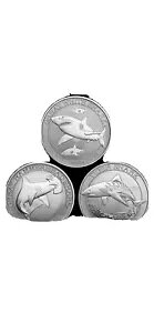 ׂ (3) 1/2 IX zIWVNU & ^CK[ Vo[ I[XgA V[N BU RC