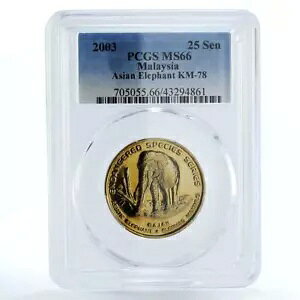 }[VA 25K Ŋ뜜쐶AWA]E MS66 PCGS 2003N