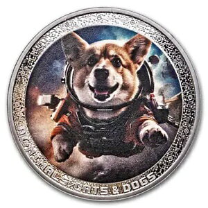 2025 J[ 1 IX Vo[ AIENIMALS ̉Fsm ( COA t)