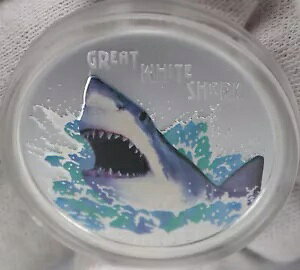 co 2007 vIŊ댯ȃzzWU 1 IX .999  COA t