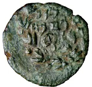 �Ñテ�_���l�̃R�C�� ���_�� �n�X�������̃A���L�T���_�[�i�� �G���T���� �E�B�h�E �}�C�g COA