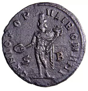 ���A ���[�W �_�u�� �R���X�^���e�B�k�X 1 ���̕��A�V�[�U�[ �W���s�^�[ �R�C��