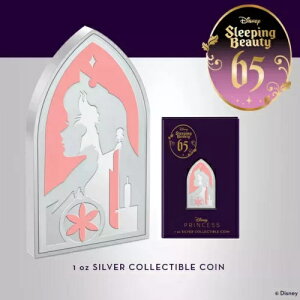 2024 j[W[h fBYj[X̔ 65th 1 IX J[