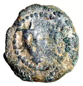 _Awf剤B̃v^ GT RC RkRsAƃAJ[