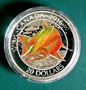 2016 Ji_ RC $20 1 IX .9999 Vo[ - Ji_̃TP - kɃCi - OGP