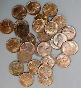 1941 P Ah D J[ EB[g Zg 30 RC bg _[Ng[̔_̂銮Ƃ͌Ȃ