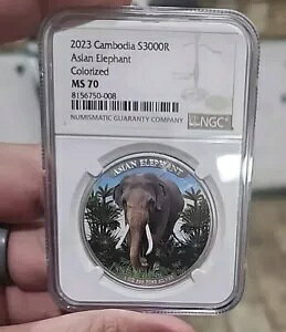 2023 �J���{�W�A 3000 ���C�� �V���o�[ 1 �I���X �A�W�A�]�E �J���[���C�Y NGC MS70 �p�[�t�F�N�g