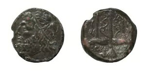 Ñ: MV̐RC - VL[XAIO 275 ` 215 N - qG 2 