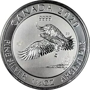 2020 Ji_ ChCt nNgEV 1.5 IX Vo[ $8 RC BU .9999 t@C