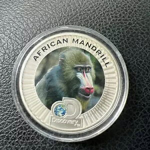 2016 jEG fBXJo[ `lŊ뜜AtJ }h 1.5 IX J[