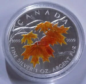 2007 Ji_ VK[ [v [t J[CYh 1 gCIX 0.999 ㎿