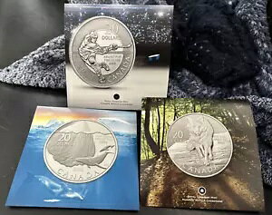 2013 Ji_ ACXo[O & zG[AzbP[AEt 1/4 IXB .9999 3Zbg