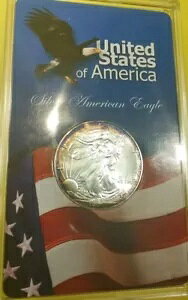 �č������ǃV���o�[ �C�[�O�� �v���O������ 2001 �N�A�����J�� �V���o�[ �C�[�O�� - �G�b�W �g�[�j���O