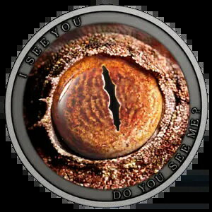 2021 jEGEChEAtJuhDE[EV[E~[?vII 1/2IX