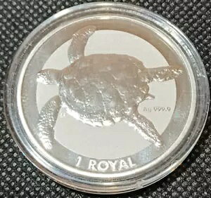 2020 p̃Chm̓y 1 C - V[^[g .9999 nfՃRC