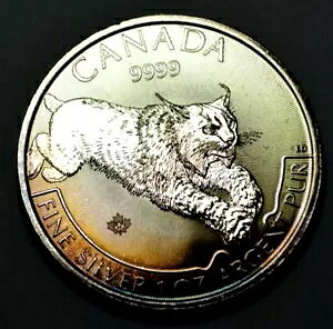 2017N 5h Ji_ 1IX 9999 Vo[ NX ChCt vf^[ V[Y RC i`g[jO