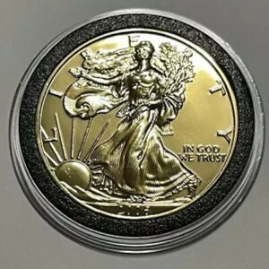 2006N ASE 24bL AJC[ORC 1gCIX .999 t@CVo[ Eh