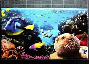 2013N jEG zz`E tO J[ .925 Vo[ 1h RC gsJR[