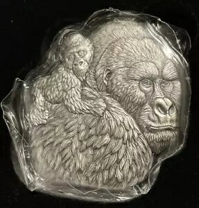 2023N `h SƎq̌`5000t 1IX #404/1500