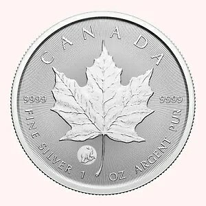 2024NJi_5h1IX [v[t t@[XgXgCN - ߂łƂ܂