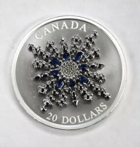 Ji_ 2024 Tt@CA Wr[ Xm[t[N u[` 1.2IX .999 Vo[RC