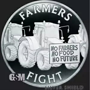 ݌ɂ 2024 Vo[ V[h t@[}[Y t@Cg 1 gCIX .999 Vo[ v[t Eh