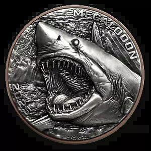 2025 okAc WCAg Kh T 10g  145g RAt