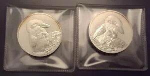 2020 2IX Vo[ I[XgA }U[CJZ~ & xr[ s[htH[g RC