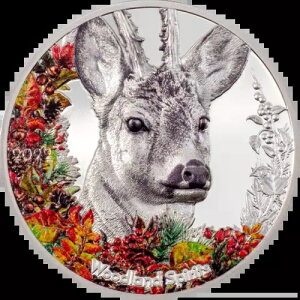 2022 SA Ebhh Xsbc fBA 1 IX 0.999 Vo[ nC[t v[t