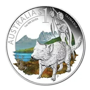 2010 $1 ANDA uXx RC V[ Zu[g I[XgA ^X}jA 1IX Vo[