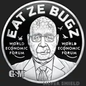 2023 1OZ World Demonic Forum Proof - In-Hand Silver Shield - Eat Ze Bugz