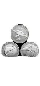 ׂ (3) 1/2 IX zIWVNU & ^CK[ Vo[ I[XgA V[N BU RC