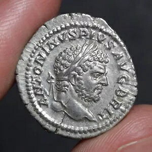 JJ fiEX Ñネ[}鍑  ɍ 213AD ZsX