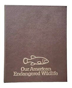 AJ̐Ŋ뜜̖쐶 .925 Vo[ RC RNV tN ~g