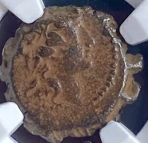 NGC MVÑZERXF 128-122BC RC ANT_[ 2 Z[g