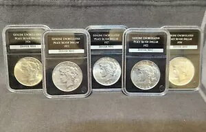 PCS Xu̖ʂ 1 h݃s[X _[ 5 ̃bg ʃh