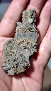 {̃uLRC 1813 I_ W fCbg jD̉΃uLRC