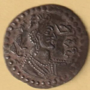 �Ñ�C���h �l�U�N �t�� �i�v�L �}���b�N �V���o�[ �h���N�} ���ɒ������R�C��