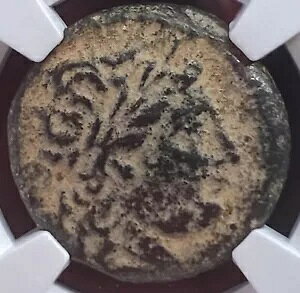 �{���� NGC �F��Ñ�Z���E�R�X�����R�C�� �Z���E�R�X I 312-281 BC �A�|��