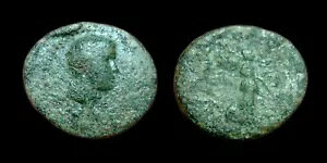 AE19 �u���^�j�N�X �X�~���i - �C�I�j�A (�t�B���X�g�X����уG�C�J�f�B�I�X����)